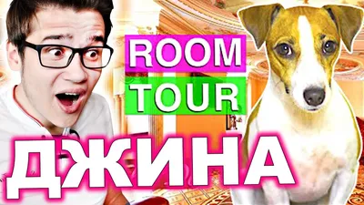 СТРАШНАЯ НОЧЬ В КОМНАТЕ ПИТОМЦЕВ 4 - Скрытая Камера и Сербская Леди | Elli  Di Pets\" | ilya.dzen.official | Дзен