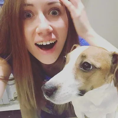 Джина УМЕРЛА !?? Элли Ди ПЛАЧЕТ После Операция |Elli Di Pets| Реакция на Элли  Ди Петс Собаки - YouTube