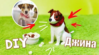 ШОУ ГОСТИНИЦА ДЛЯ СОБАК - ВСЕ СЕРИИ | Elli Di Pets - YouTube