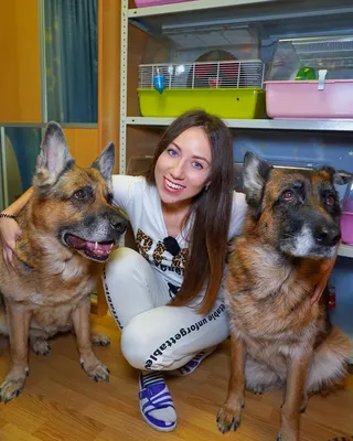 ДЖИНА СОБАКА ЭЛЛИ ДИ DIY КАК СДЕЛАТЬ ИЗ ПОЛИМЕРНОЙ ГЛИНЫ ❁ ELLI DI DOG  POLYMER CLAY TUTORIAL - YouTube
