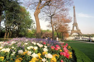 Эйфелева башня Париж весной Стоковое Изображение - изображение  насчитывающей башня, промахов: 27121935