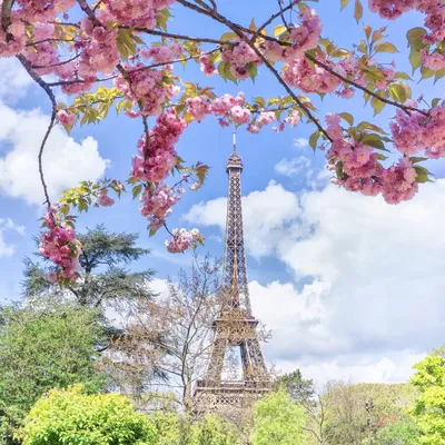 Эйфелева башня весной в Париже, Франция стоковое фото ©samot 46414117