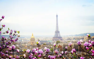 Известная Эйфелева башня в Париже стоковое фото ©kanuman 94189144