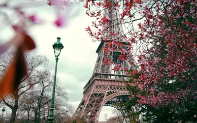 Париж. Пеший подъем на Эйфелеву башню. | дневники путешествий | Дзен