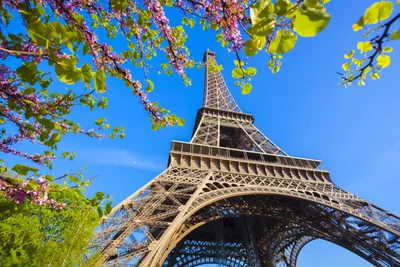 Картинки париж эйфелева башня - 69 фото