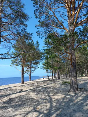 Энхалук - отдых на Байкале с километрами песчаных пляжей: честный отзыв про  турбазы и берег - Байкал Блог