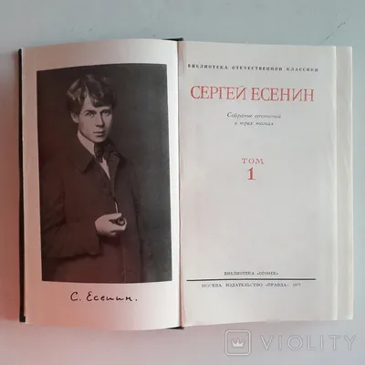 ЕСЕНИН УМЕР ПРИ ДОПРОСЕ. \"Книжные аллеи\", Санкт-Петербург. Выступление  поэта Николая Ник. Брауна. - YouTube