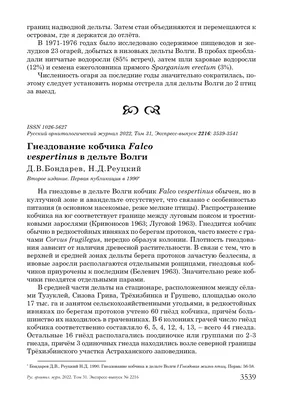 Клиника «Жёлтый Император»Ежеголовник побегоносный - применение и полезные  свойства: фитоаптека клиники китайской медицины Желтый Император