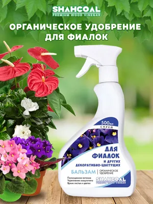 Фиалки размножение листовыми черенками: как вырастить сенполию из листа