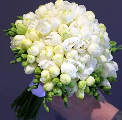 Букет невесты из белой фрезии - 51 шт. за 11 290 руб. | Бесплатная доставка  цветов по Москве