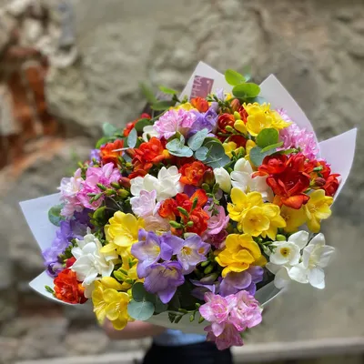 Букет цветов «Яркие фрезии» в коробке заказать с доставкой по цене 9 230  руб. в Майкопе