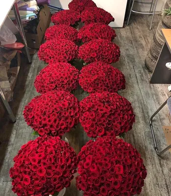 Много красивых красных роз :: Стоковая фотография :: Pixel-Shot Studio