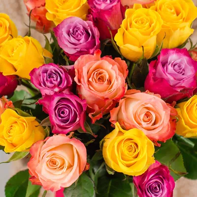 Предпосылка цветков красной розы Много красных роз закрывают вверх Стоковое  Фото - изображение насчитывающей украшение, картина: 115306258
