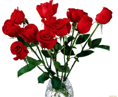 Fresh Real Touch Rose Flowers - «Алые розы-на ощупь и вид как живые!.. много  фото!» | отзывы