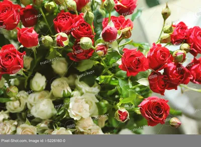 Люкс Букет - цветы Пятигорск. Много нежности Корзина роз купить с доставкой  в Пятигорске