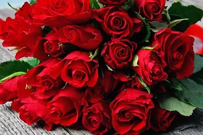 Фея розы - Когда мы срезаем больше роз, мы открываем для вас Предложение  Фея розы🤗 ⠀ Уже сейчас наши Феи производства сообщили о том, что срезают  особенно много роз Норма Джин🤍 Невероятная