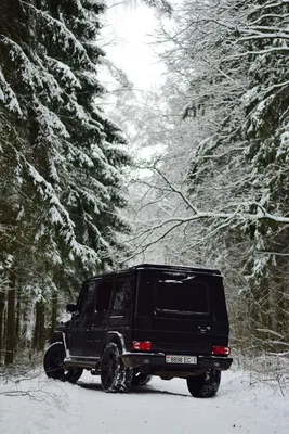 Зимние фото в студию — Mercedes-Benz G-Class (W463), 5 л, 2006 года |  фотография | DRIVE2