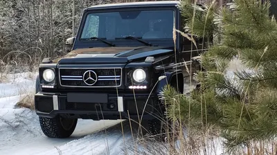 Во сколько обходится содержание Mercedes-Benz G-класса: дневник трат -  читайте в разделе Разбор в Журнале Авто.ру