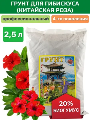 Гибискус Купера укорененный черенок (китайская роза), Hibiscus  rosa-sinensis var. cooperi (ID#1491647509), цена: 189 ₴, купить на Prom.ua