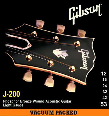 Gibson: коротко об истории компании