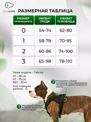 Комбинезон дождевик для больших собак на тонкой подкладке, Хаки с серым  (ID#1925634387), цена: 945 ₴, купить на Prom.ua