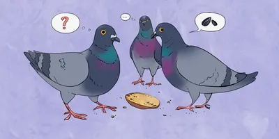 Два голубя сидят на проводе, зима,…» — создано в Шедевруме