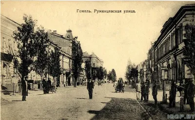 Начались мероприятия к 78-й годовщине со дня освобождения Гомеля от  немецко-фашистских захватчиков