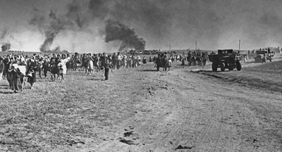8 фактов о том, как освобождали Гомель в 1943-м, спасая город от фашистских  мин - KP.RU