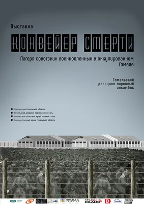 Минобороны опубликовало документы к 80-летию освобождения Гомеля - РИА  Новости, 30.11.2023