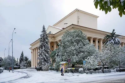 Фотогалерея Зима в Сочи в Сочи | Фото на сайте Azur.ru