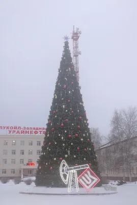 Урай покажут на Первом канале! - Газета «Знамя»