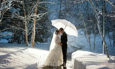 Свадьба зимой: организация, идеи для зимней свадьбы