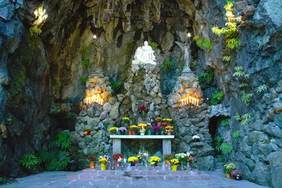 Complete Guide to Visiting the Grotto in Portland — Pines and Vines — Pines  and Vines