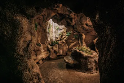 Forest Grotto in Juqu by Wang Meng | Obelisk Art History