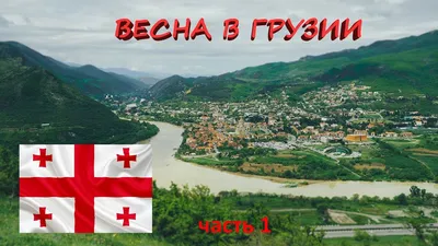 одинокая женщина за 40 снаружи в саванне грузии весной Стоковое Изображение  - изображение насчитывающей красивейшее, персона: 221019567