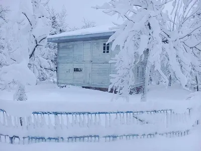 Зима в Грузии - SOVA