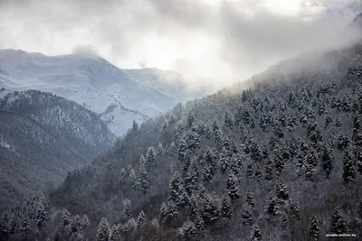 Что посмотреть в Грузии зимой