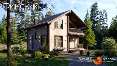 Строительство финских домов под ключ в Туле, проекты и цены |  SkandinavKarkas