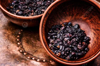 Ягоды барбариса: и универсальная приправа, и полезный чай | Полезная  Ботаника | Дзен