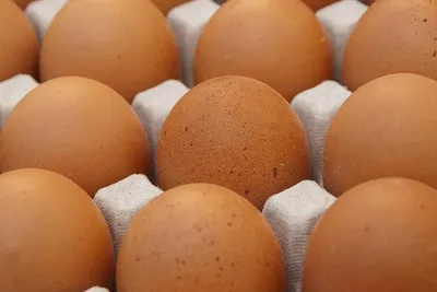 Продавец инкубационных яиц в Коми вовремя не отправил заказ покупателю, за  что получил повестку в суд | Комиинформ