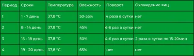 24-яичный инкубатор для инкубационных яиц, полностью автоматический  контроллер, аксессуары для птиц на ферме, утки, гуся, курицы, инкубатор для  яиц | AliExpress