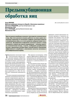 Картина \"Эму, яйца, инкубационных яиц\" для интерьера на стену / Декор в  дома, спальню, на кухню, детскую комнату, 125 см х 62 см - купить по низкой  цене в интернет-магазине OZON (1049671150)