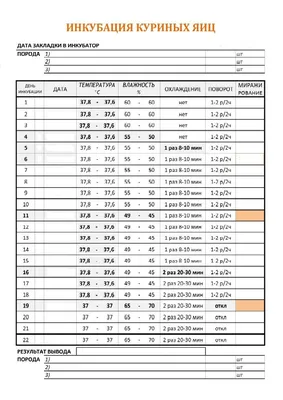 Инкубация куриных яиц: таблицы инкубации, режимы и схемы