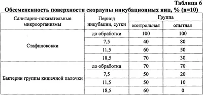 Купить Инкубаторы для инкубационных яиц Инкубатор для 8 яиц со светодиодной  подсветкой, контроль температуры, обзор на 360 градусов | Joom