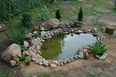 Строительство искусственных прудов - декоративные водоемы под ключ