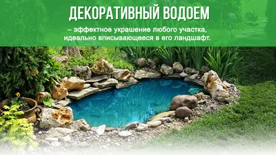 Как сделать искусственный пруд для рыб на даче