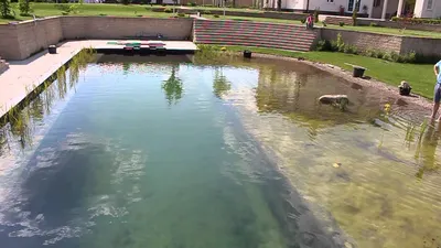 Строительство прудов и водоёмов, изготовление искусственного пруда в Москве  и Московской области