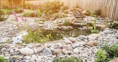 Пруд на участке, искусственные водоемы строительство, цена