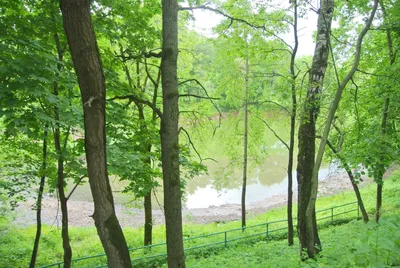 Строительство декоративных прудов (ID#127333082), цена: 70 руб., купить на  Deal.by