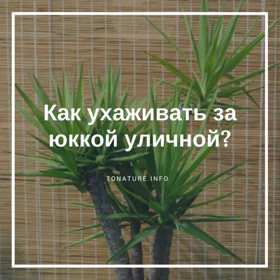 Юки-shop Кашпо подвесное уличное для цветов горшок ротанг